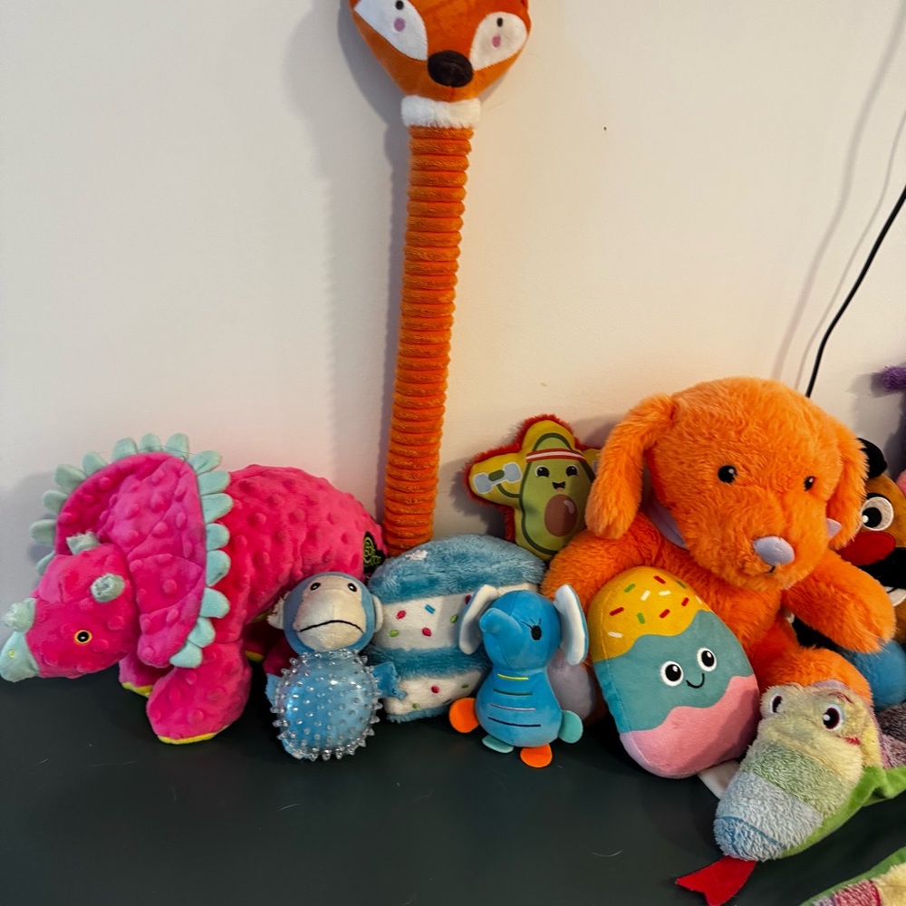 Vibrant Dog Toy Collection - Picture 2 of 9